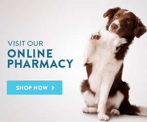 Shop the Chenoweth Animal Hospital Online Pharmacy